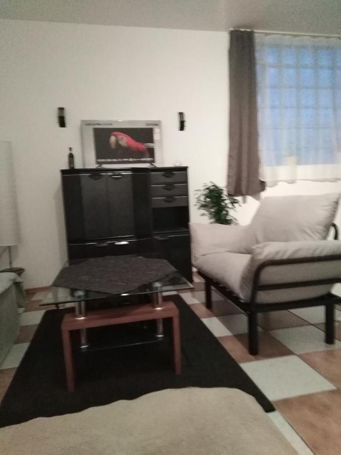 Studiowohnung, Neu Renoviert, Zentrale Lage Saarlouis Eksteriør billede